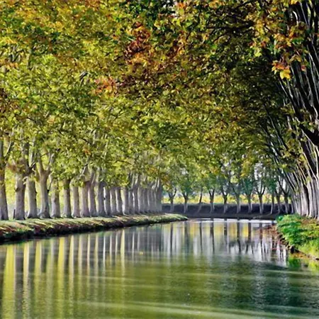 Ibis Budget Sud A9/a61 Hotel