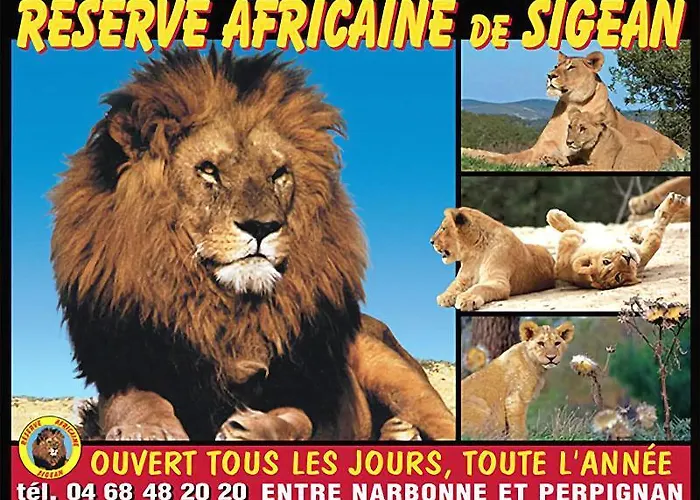 Ibis Budget Sud A9/a61 Narbona